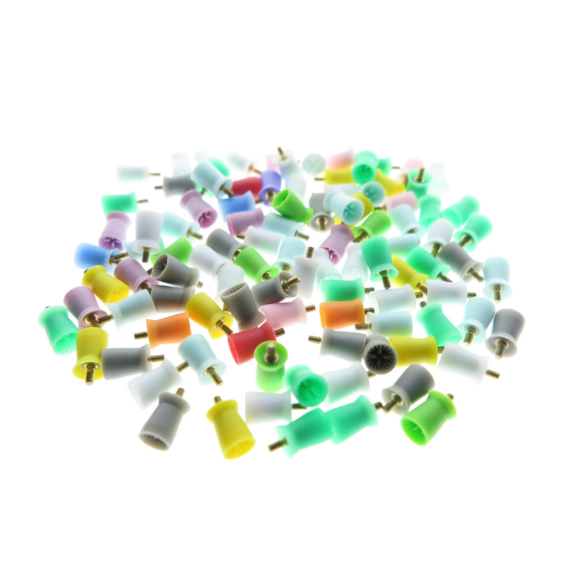 Screw-in Type Dental Cups 500 PCS