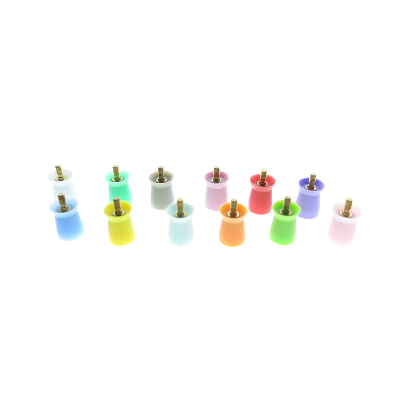 Screw-in Type Dental Cups 500 PCS