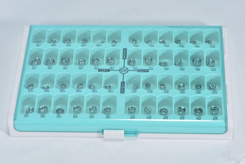 Stainless Steel Dental Primary Molar Crown